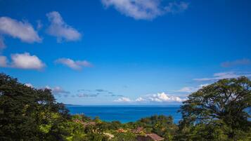 A coastal landscape with houses surrounded by dense greenery and a clear blue sky.