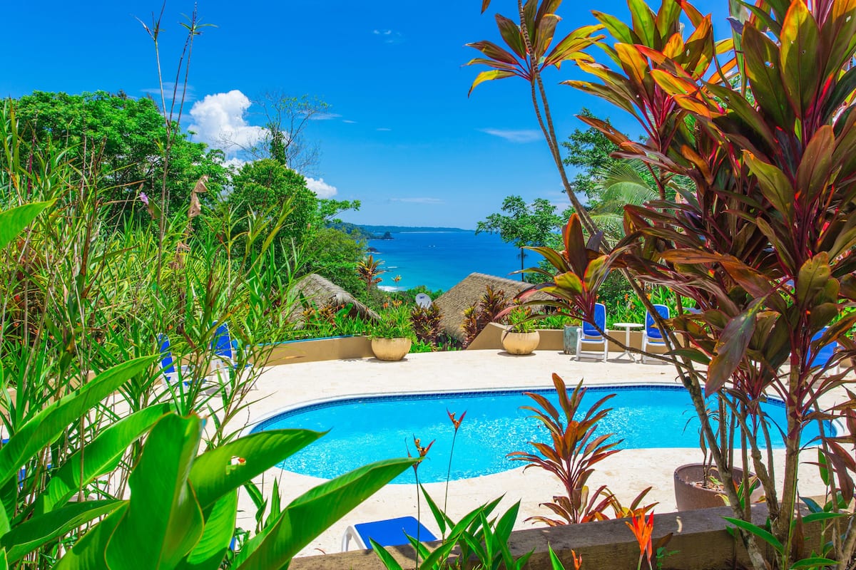 Une piscine avec vue sur l’océan, entourée de plantes tropicales et de chaises longues.
