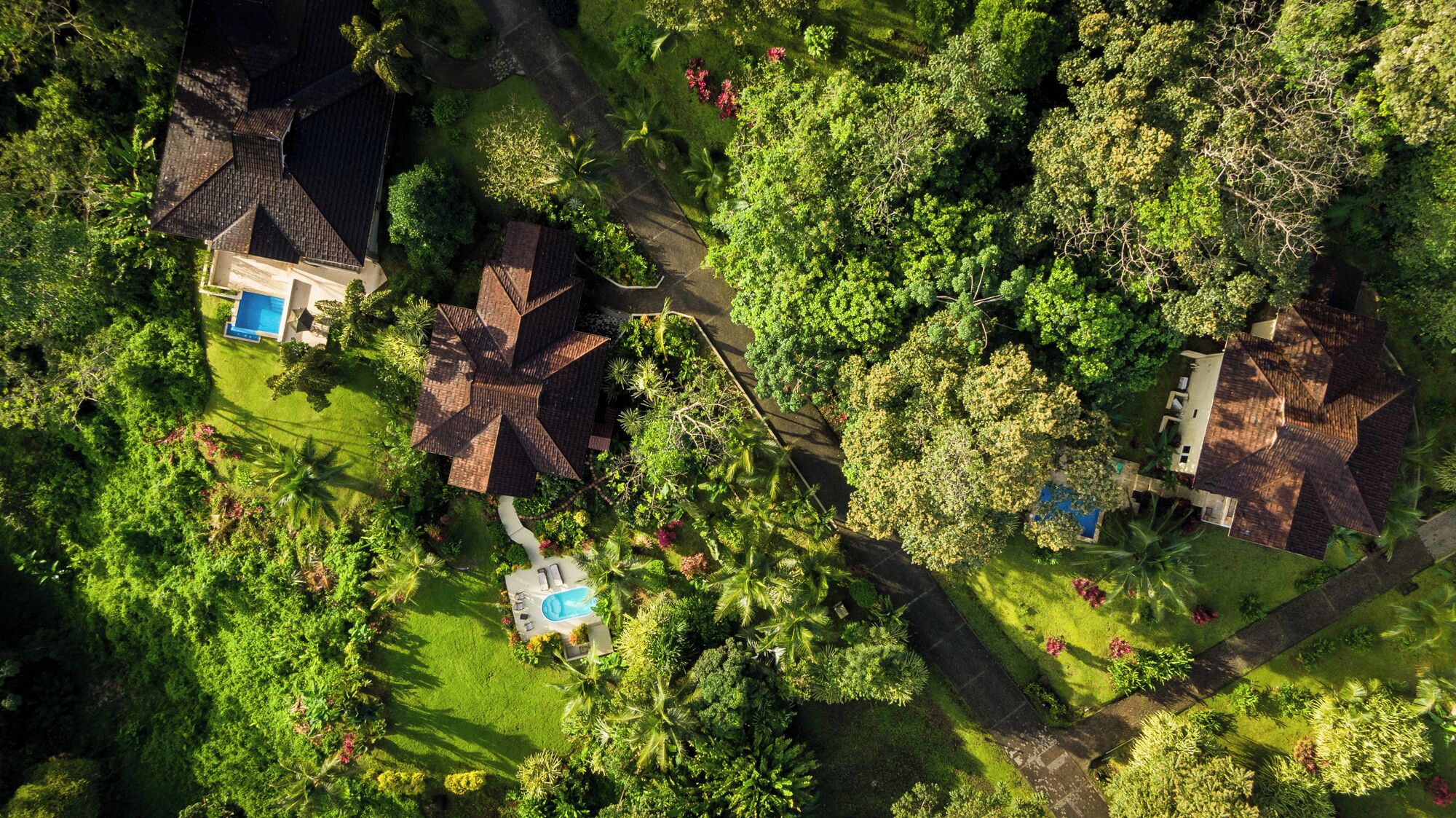 Cảnh từ trên cao