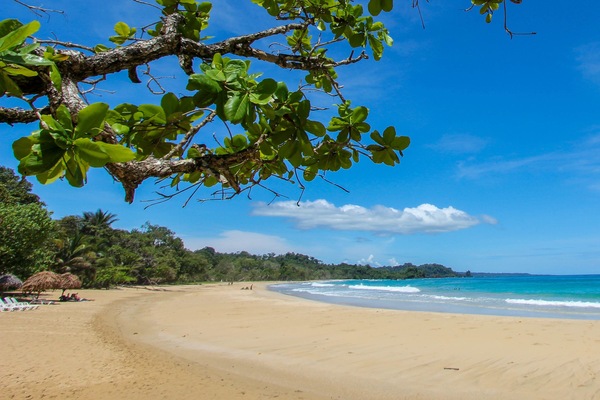 On the beach, white sand, free beach shuttle, sun-loungers