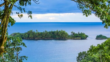 A tropical island with dense greenery and a calm sea.