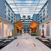 Hilton Frankfurt Airport