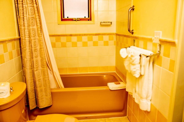 Combined shower/tub, free toiletries, hair dryer, bathrobes
