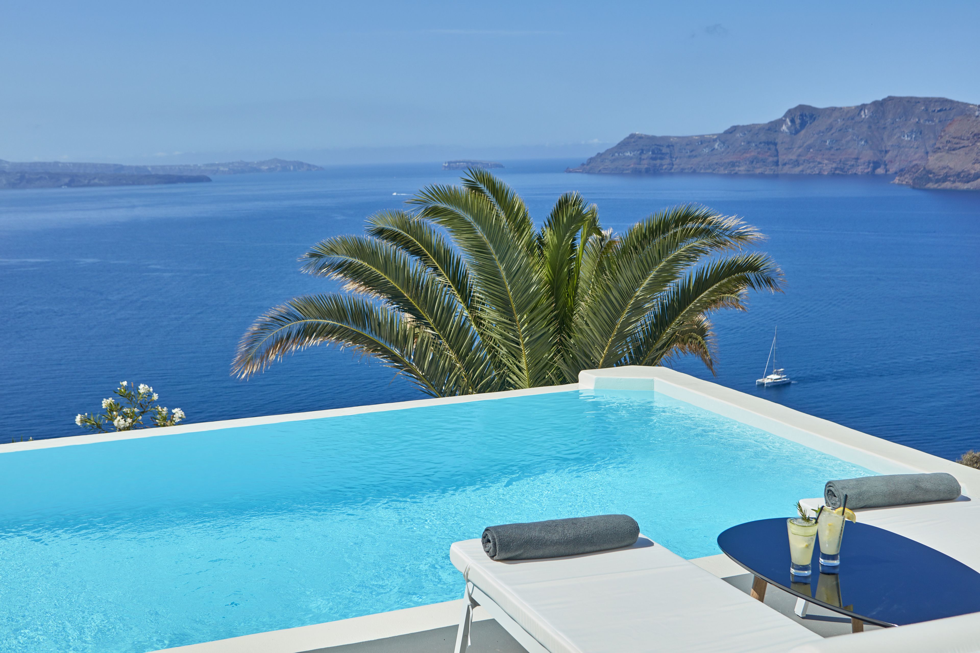 An infinity pool with a view of the sea and a palm tree.