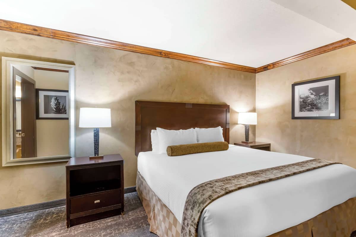 A hotel room with a large bed, two bedside tables with lamps, a wooden headboard, and a large mirror on the wall.