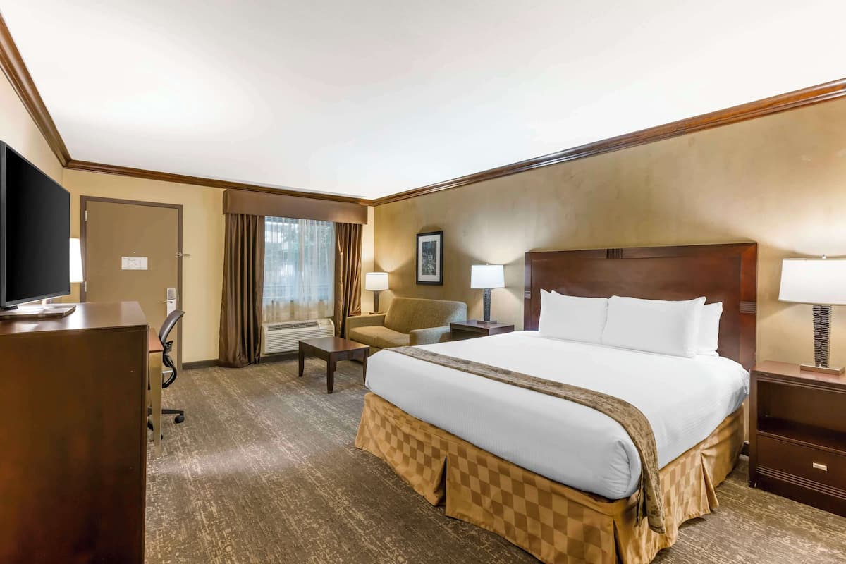 A hotel room with a large bed, a desk, a chair, a TV, and a window with curtains.
