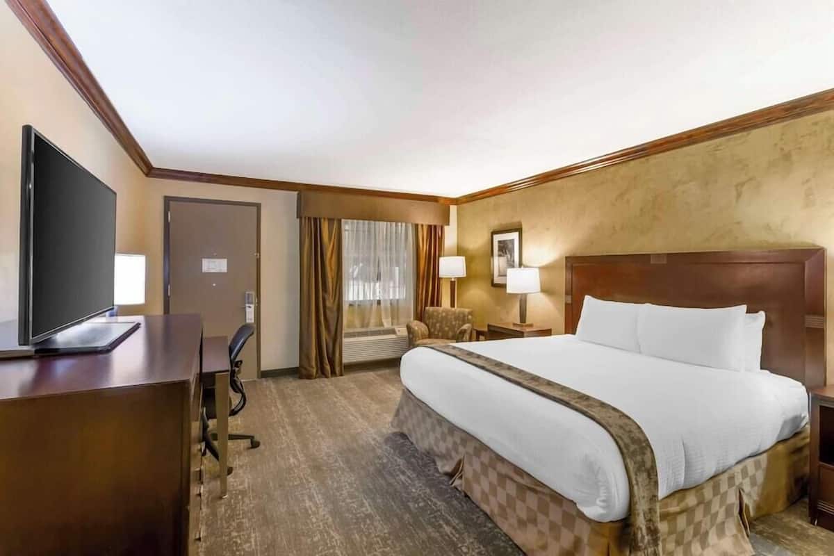 A hotel room with a bed, desk, chair, TV, and lamps.