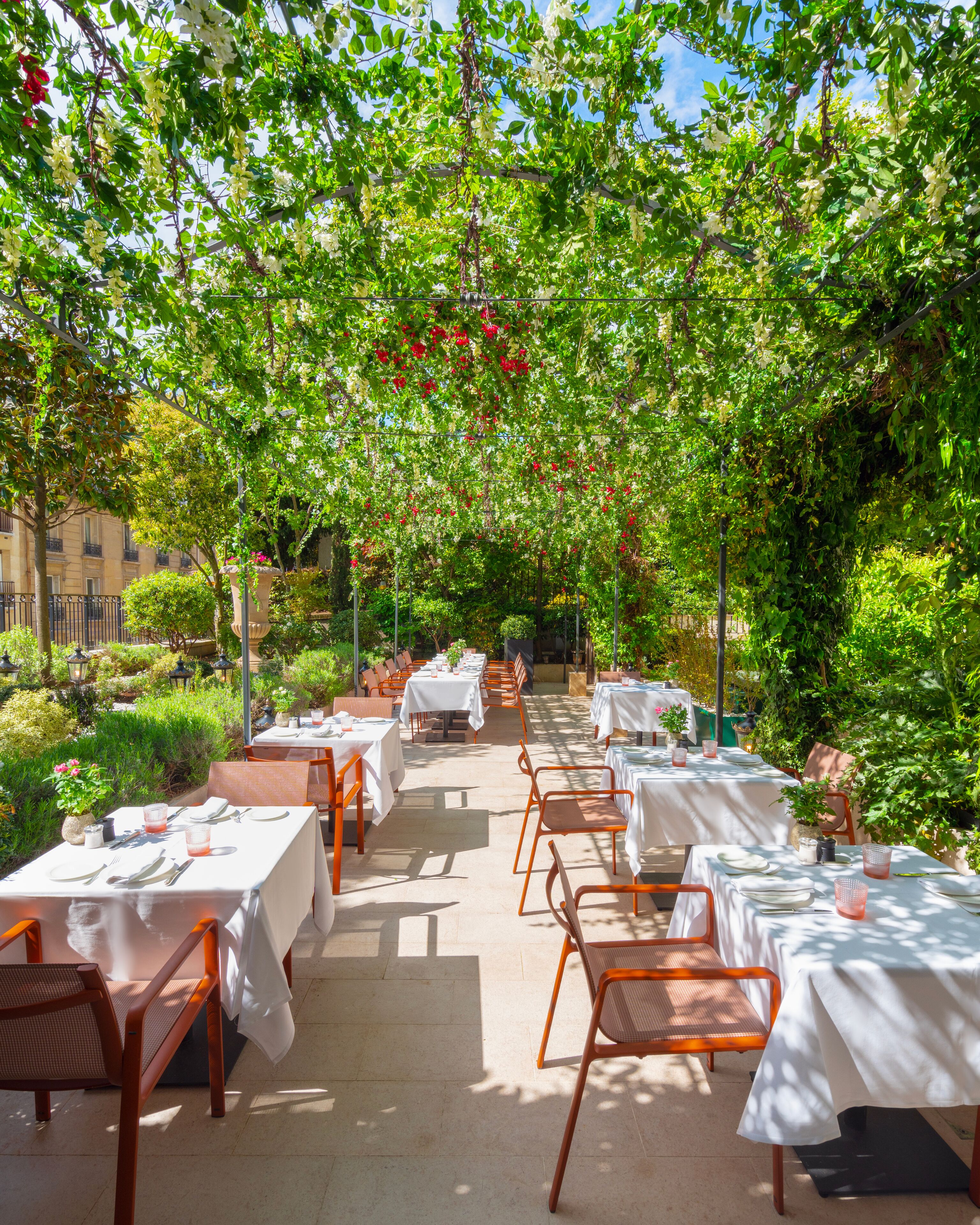 Un área de comedor al aire libre con mesas y sillas dispuestas bajo una pérgola cubierta de plantas trepadoras.