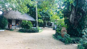 A rustic thatched-roof hut with a hammock and potted plants nearby, surrounded by lush greenery and a dirt path. - Pousada Villa Caju (Jijoca de Jericoacoara)