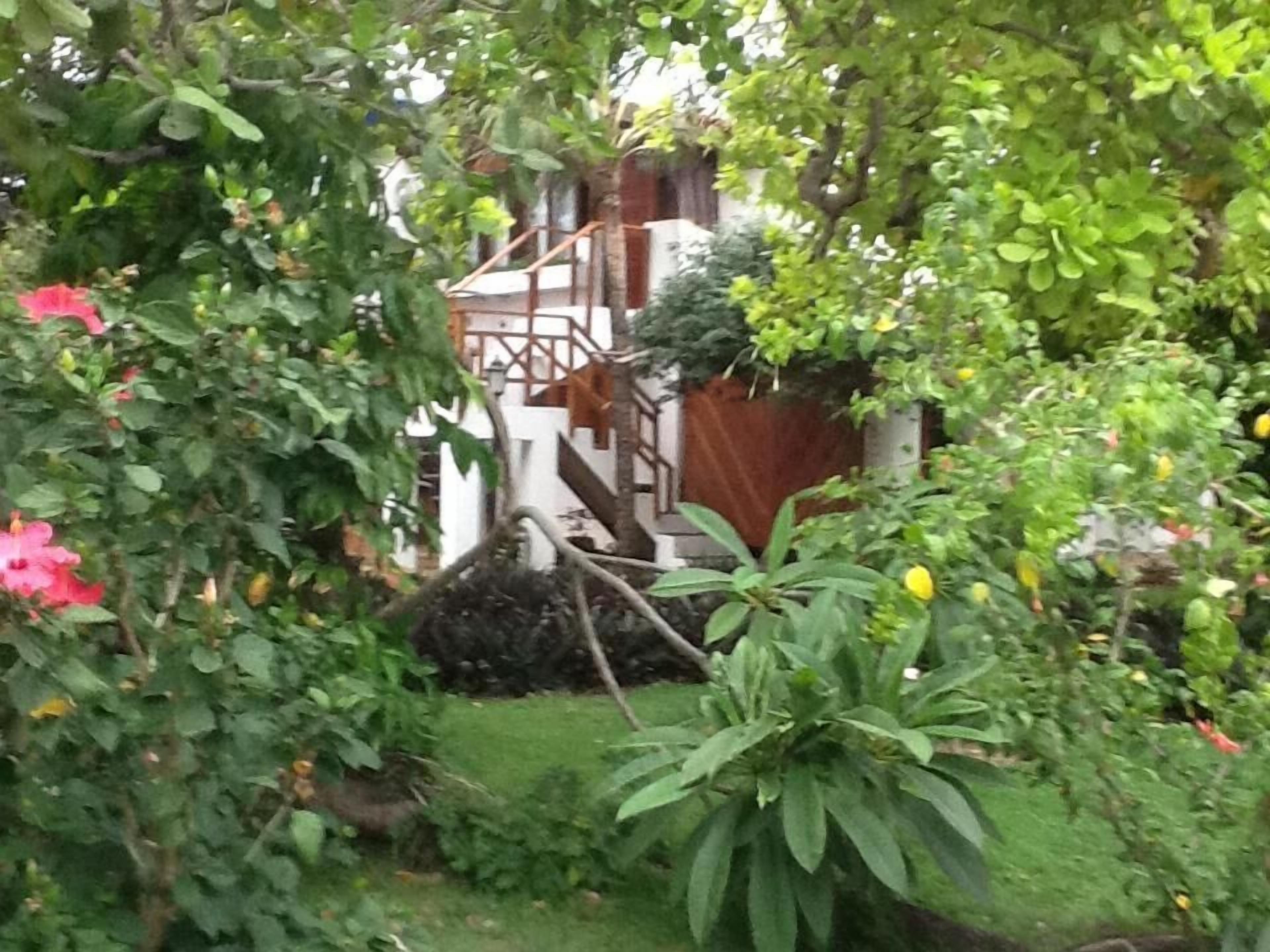 Foto - Pousada Villa Caju