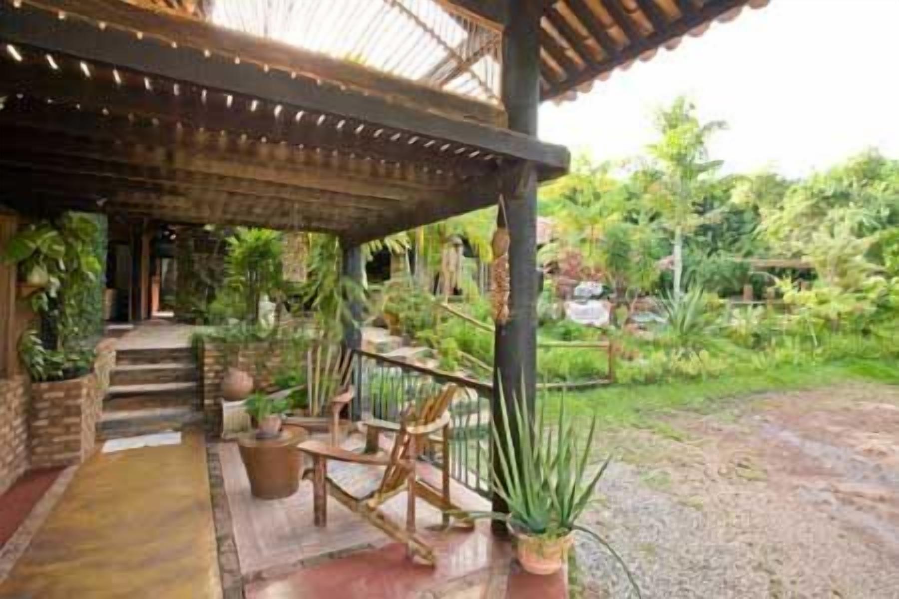Un espacio al aire libre cubierto con una estructura de madera, escalones que conducen a una puerta y plantas en macetas.
