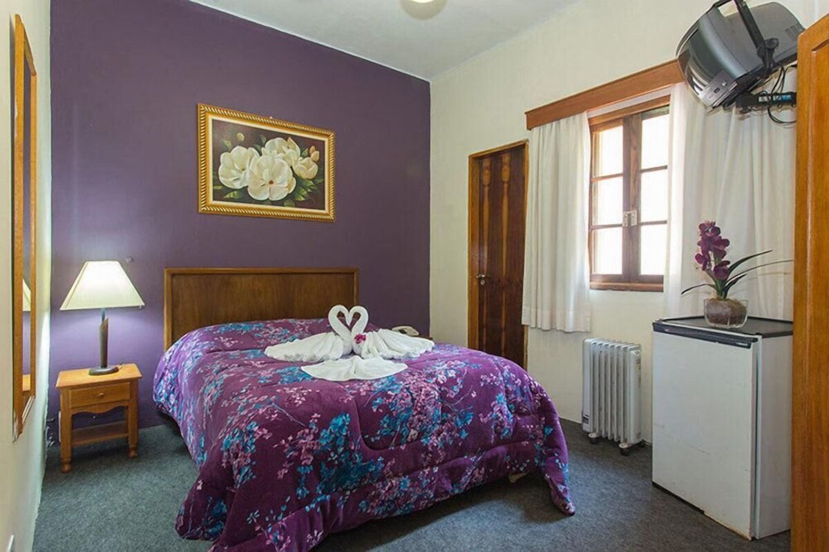 Standard-Suite