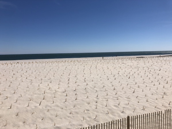 Beach nearby - Sea Palace Motel (Seaside Heights)