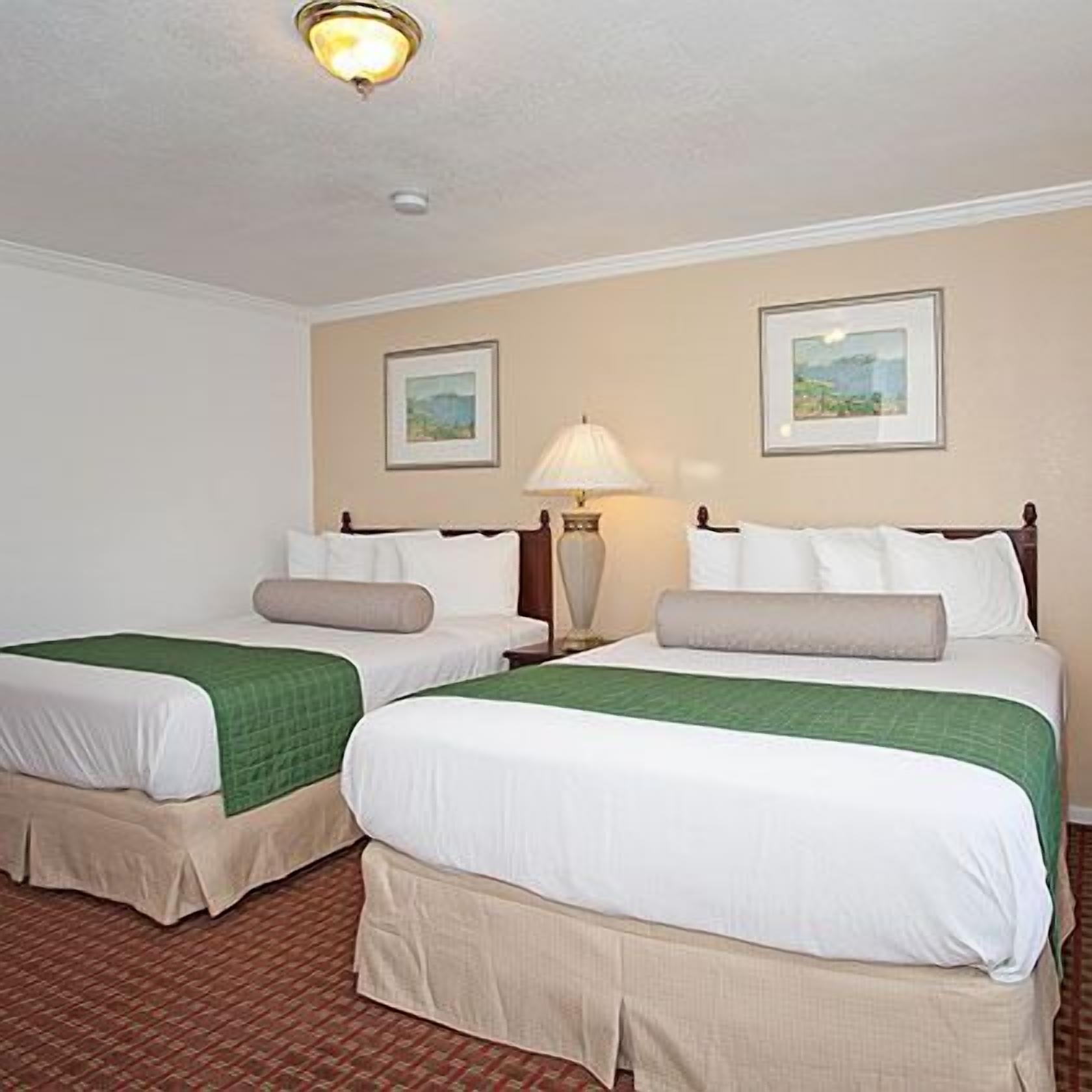 standard room | desk, blackout curtains, soundproofing, iron/ironing board