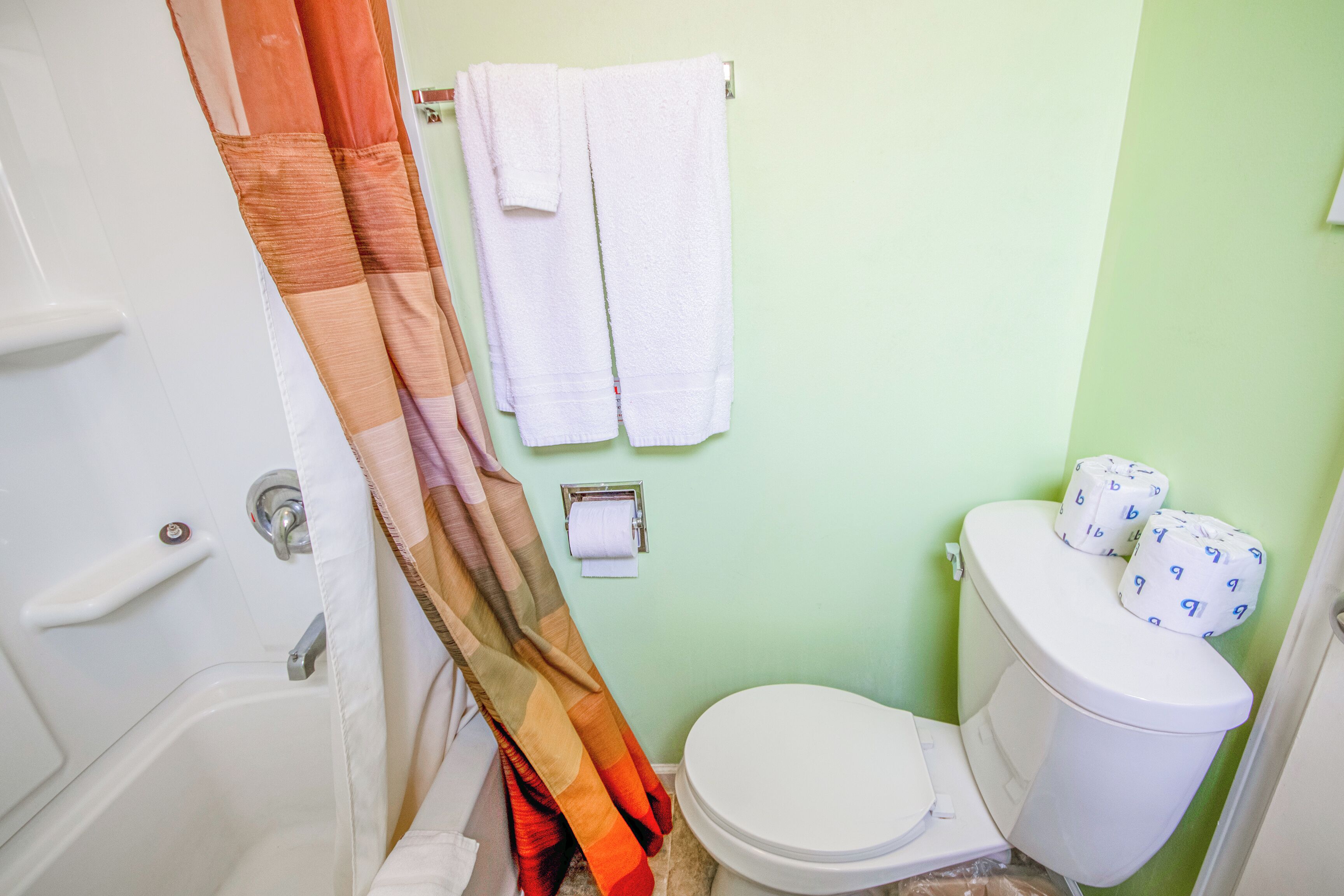 A bathroom with a toilet, a roll of toilet paper, and a shower curtain.