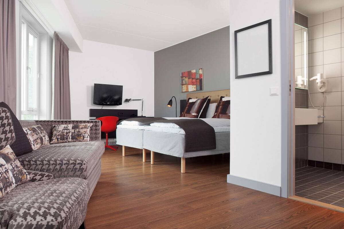 A modern hotel room with a sofa, a bed, a TV, and a bathroom with a shower.