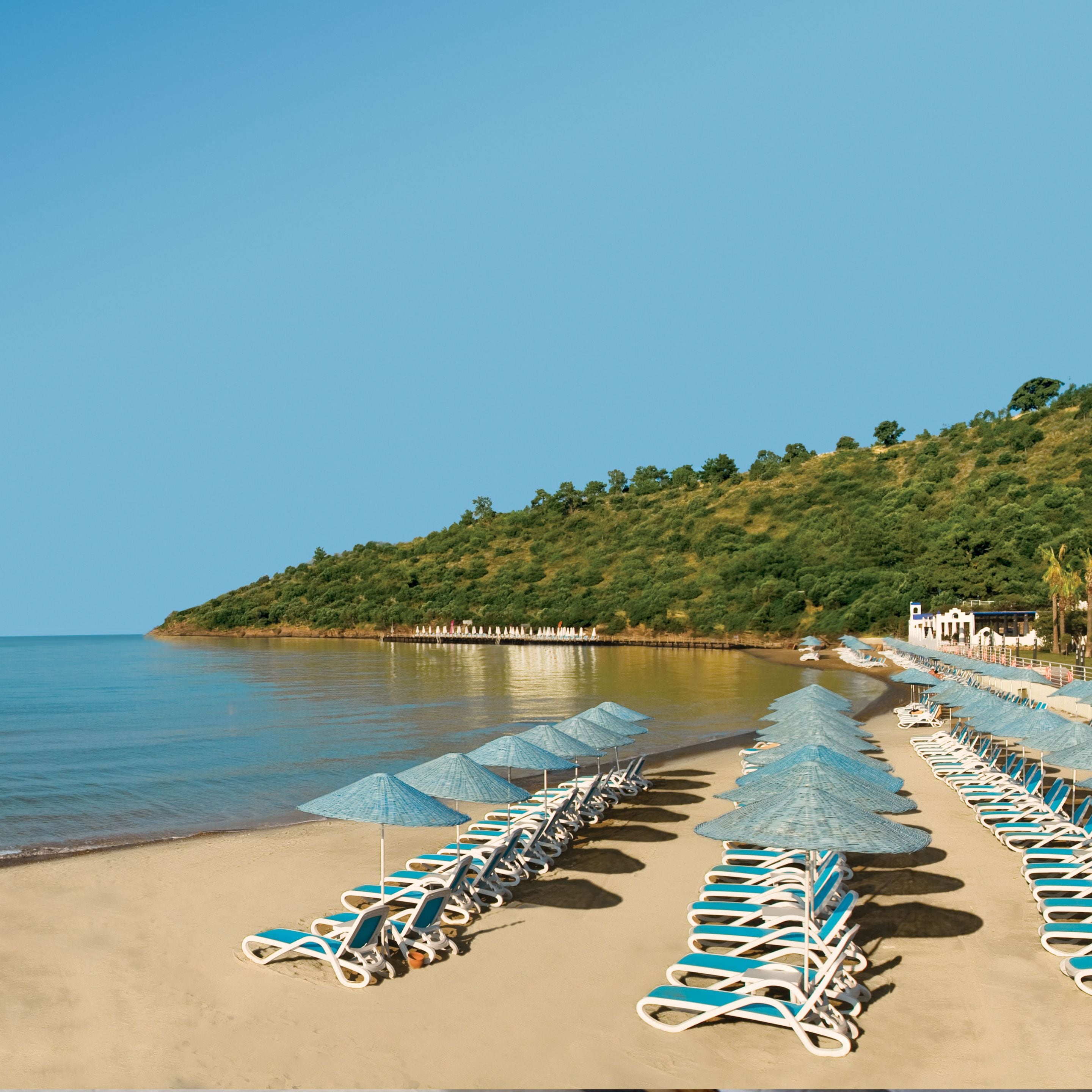 A beach with rows of sun loungers and umbrellas, a clear sky, and a hillside with trees in the background.