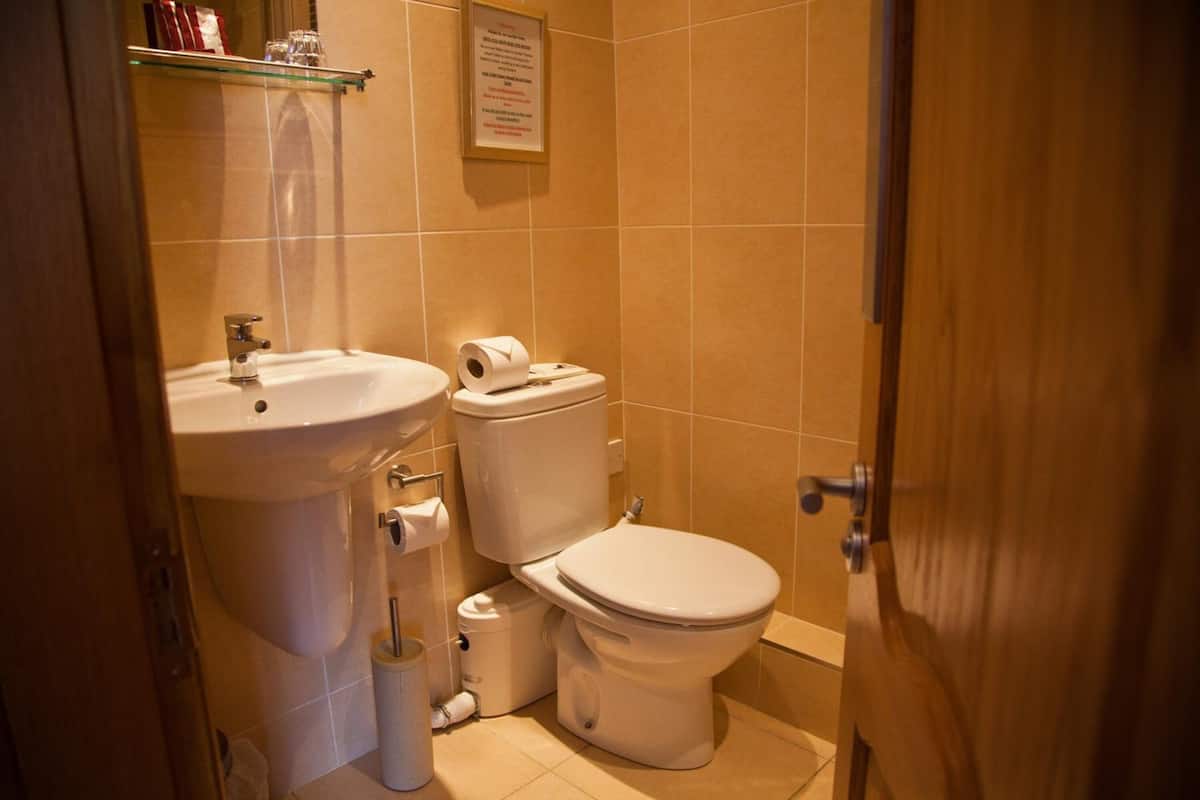 shower, free toiletries, towels