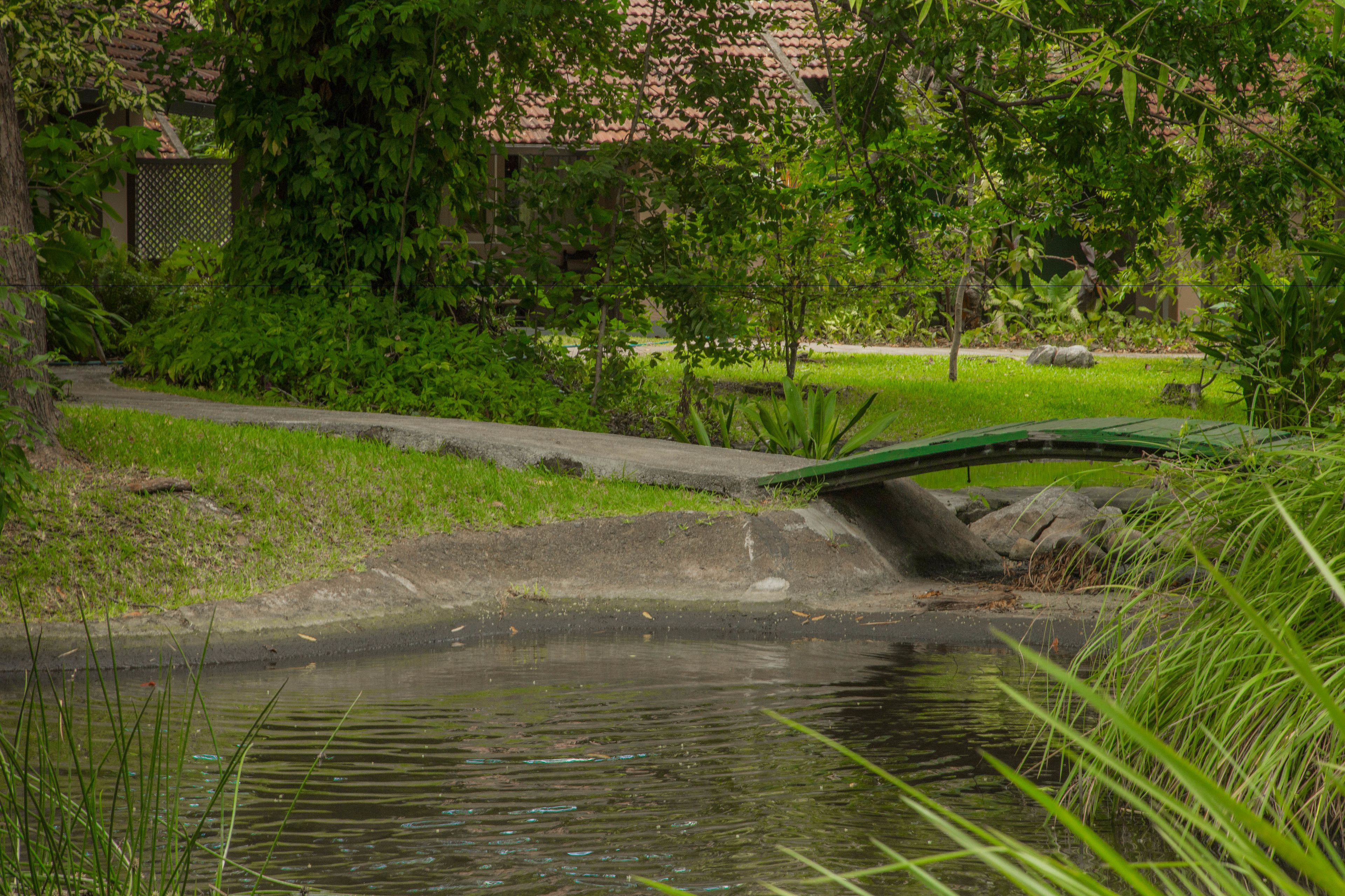 A serene pond surrounded by lush greenery and a pathway.