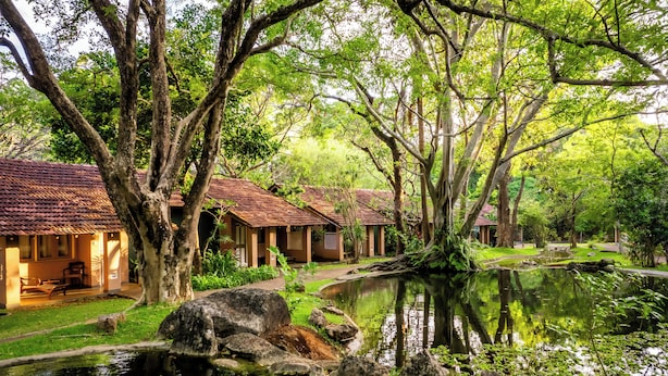 A traditional-style building with a tiled roof, surrounded by lush greenery and a pond.