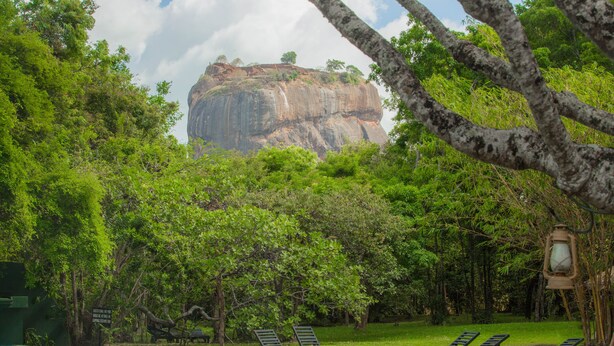 A pool area with lounge chairs and a view of a large rock formation. - Sigiriya Village (Sigiriya)