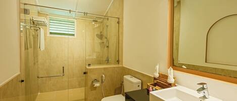 Un bagno moderno con doccia vetrata, un water bianco e un lavandino capiente con uno specchio soprastante.