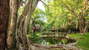 A serene garden with a pond, lush greenery, and a traditional building with a tiled roof.