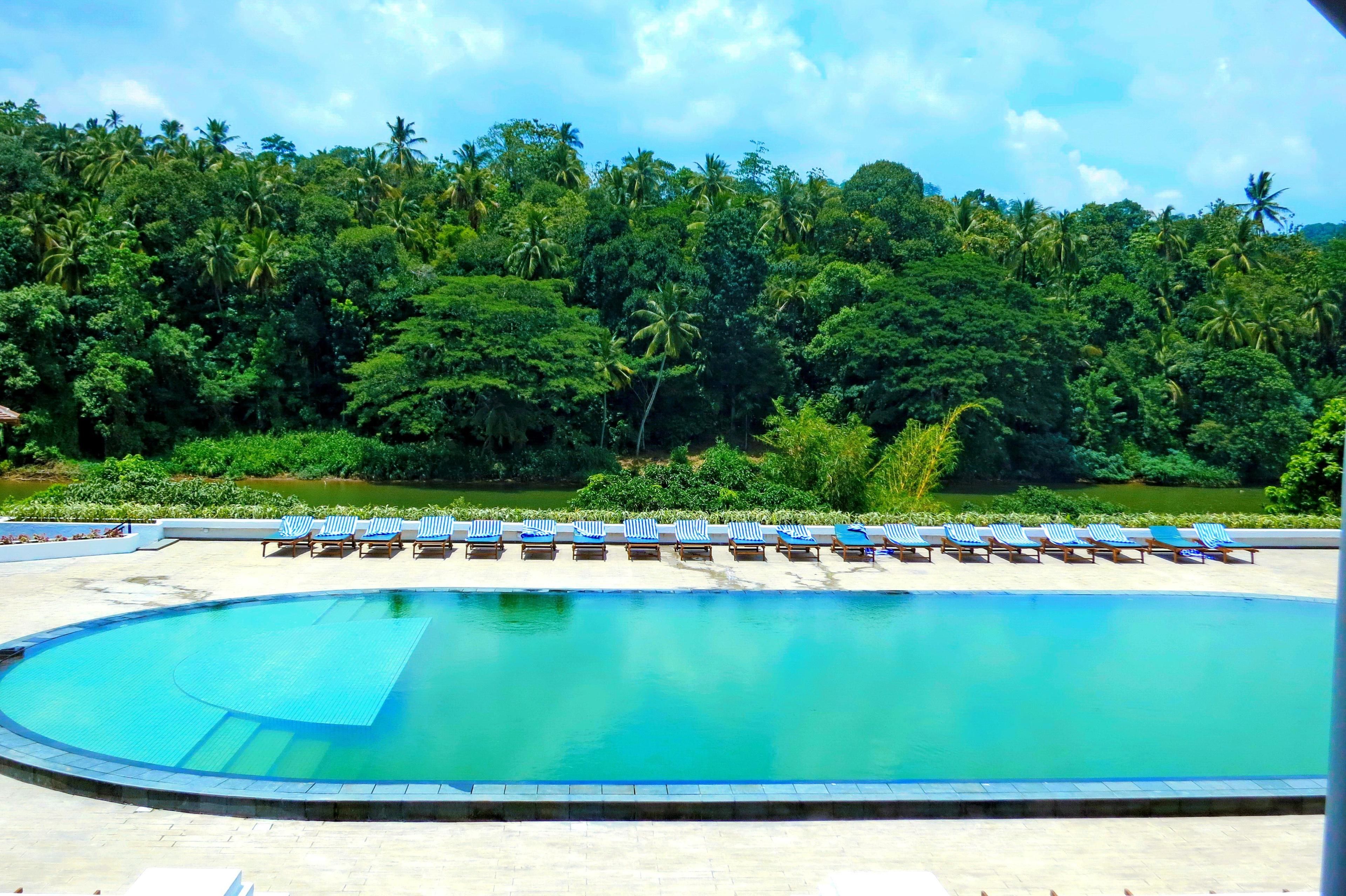 Ein Swimmingpool mit Liegestühlen und üppigem Dschungel im Hintergrund.