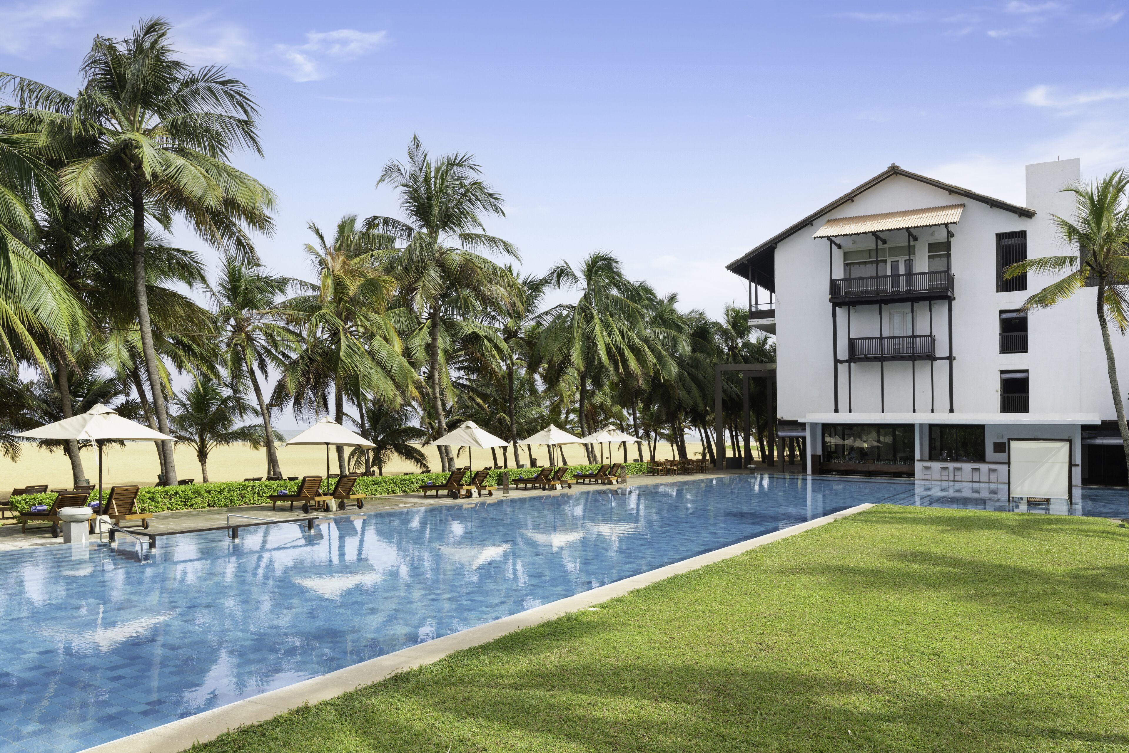A swimming pool with lounge chairs and umbrellas, surrounded by palm trees and a modern building with balconies.