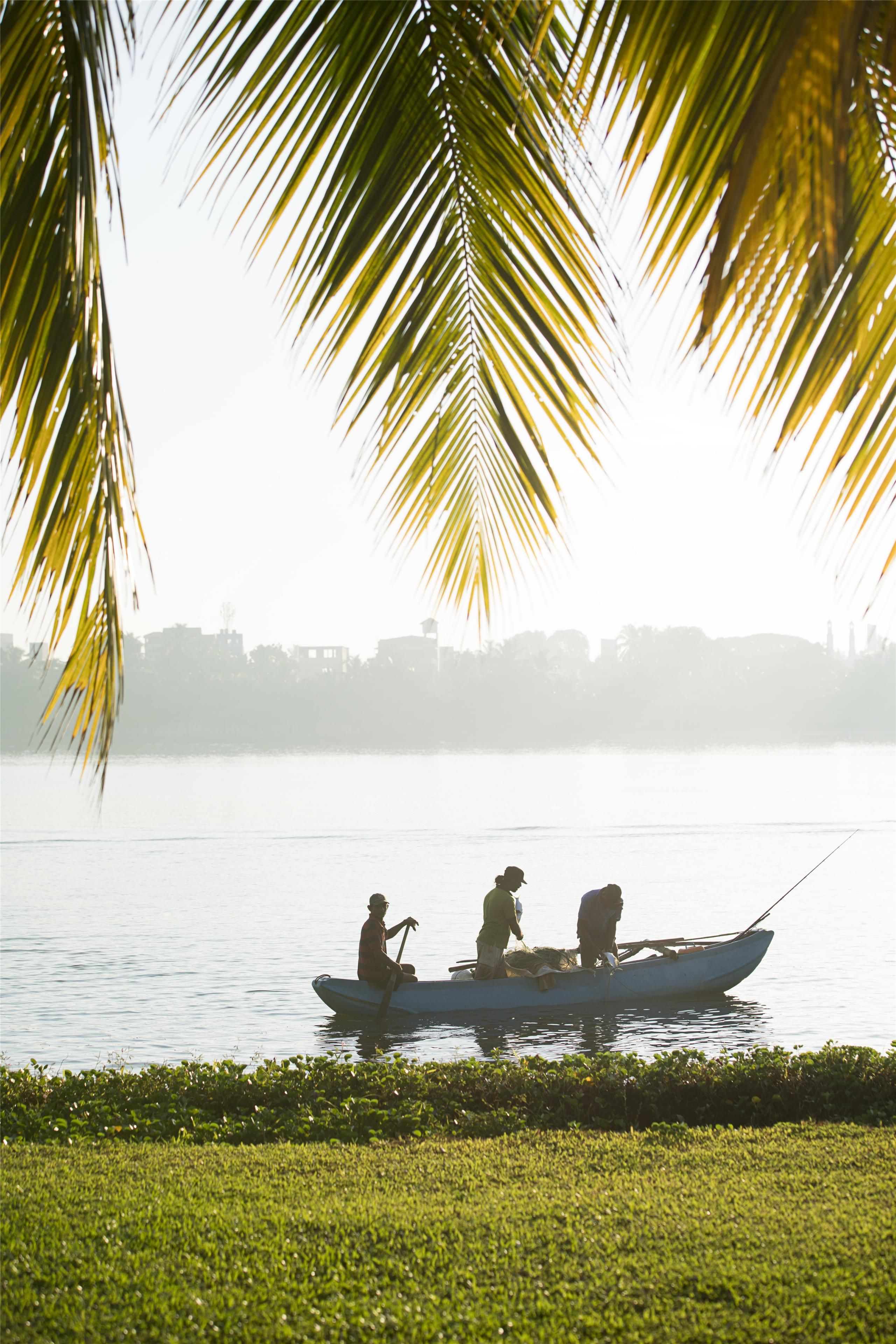 Un lac paisible sur lequel navigue un bateau transportant deux personnes, le tout entouré de verdure et de palmiers.