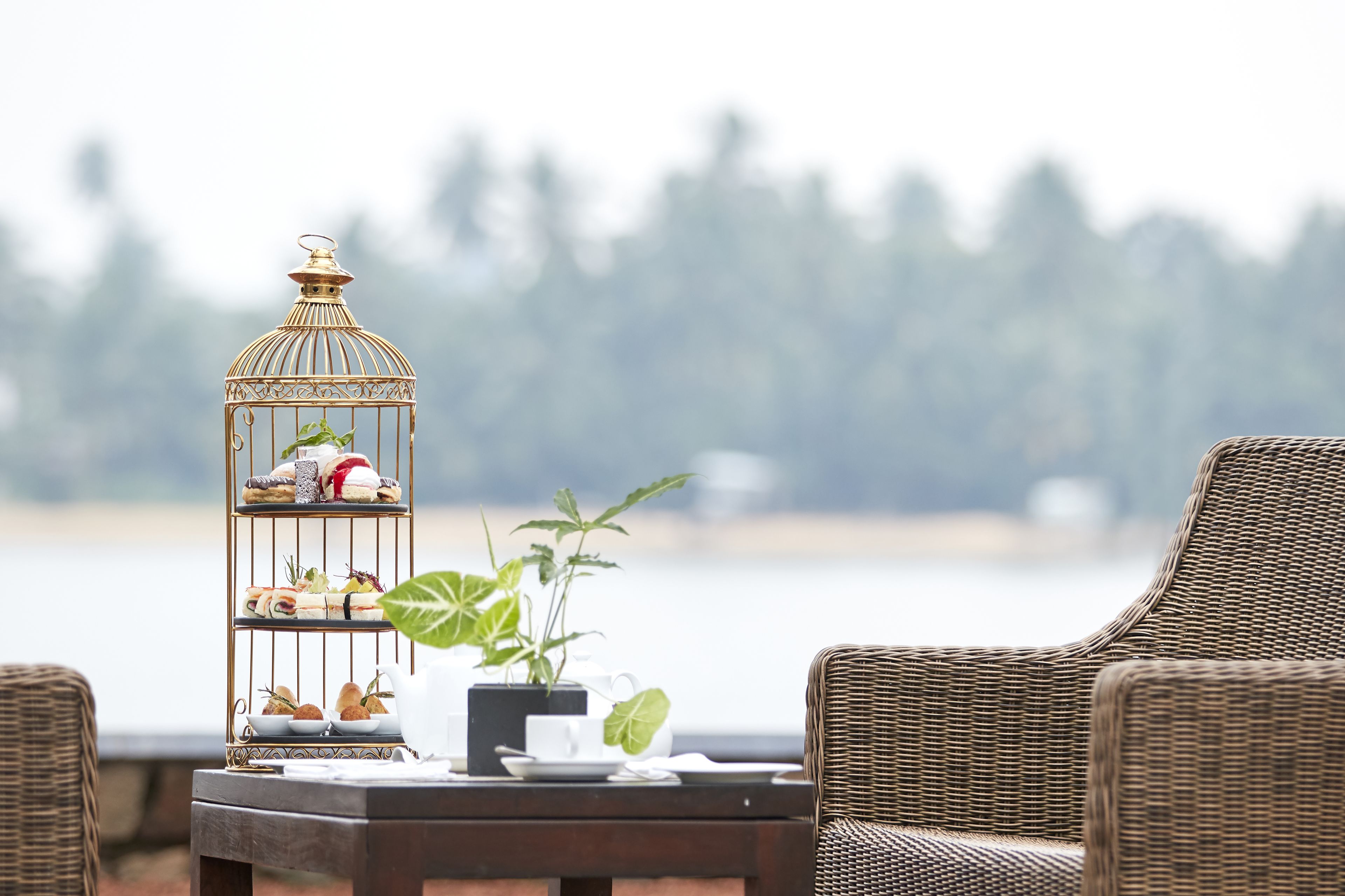 Une chaise en osier, une petite table avec un plateau de nourriture et une cage à oiseaux décorative contenant des plantes et des en-cas.