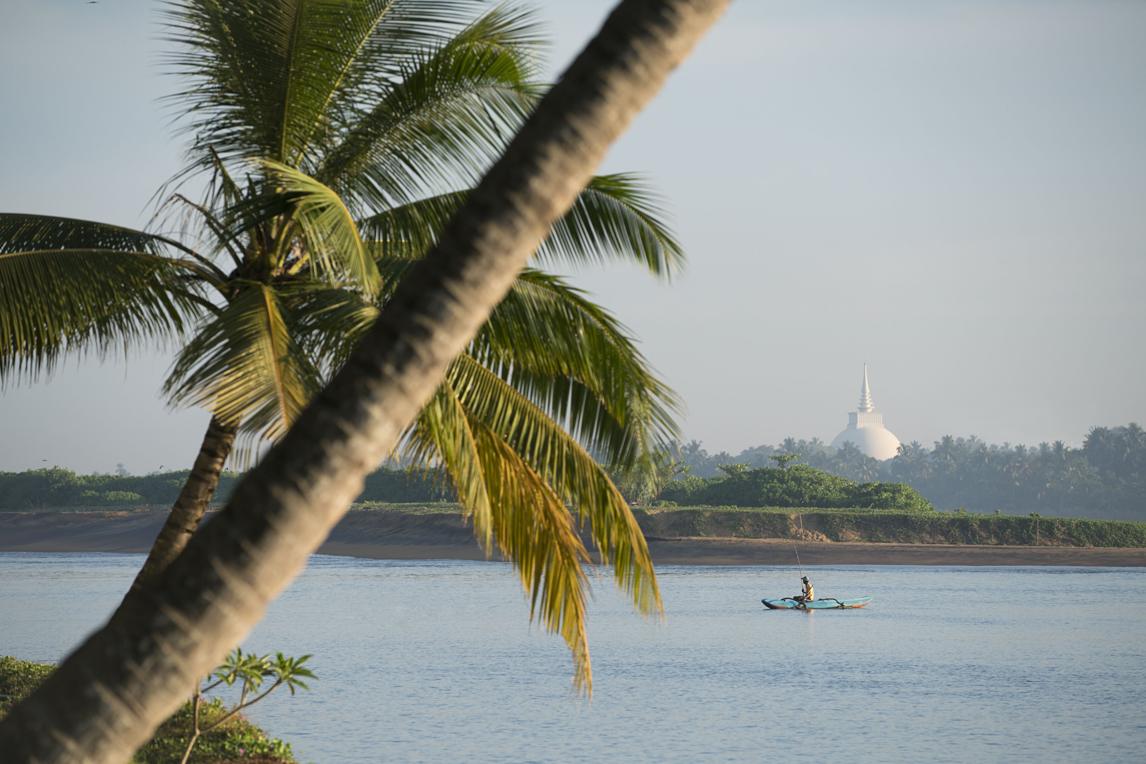 A calm river with a person paddling a boat, palm trees, and a white temple in the background.