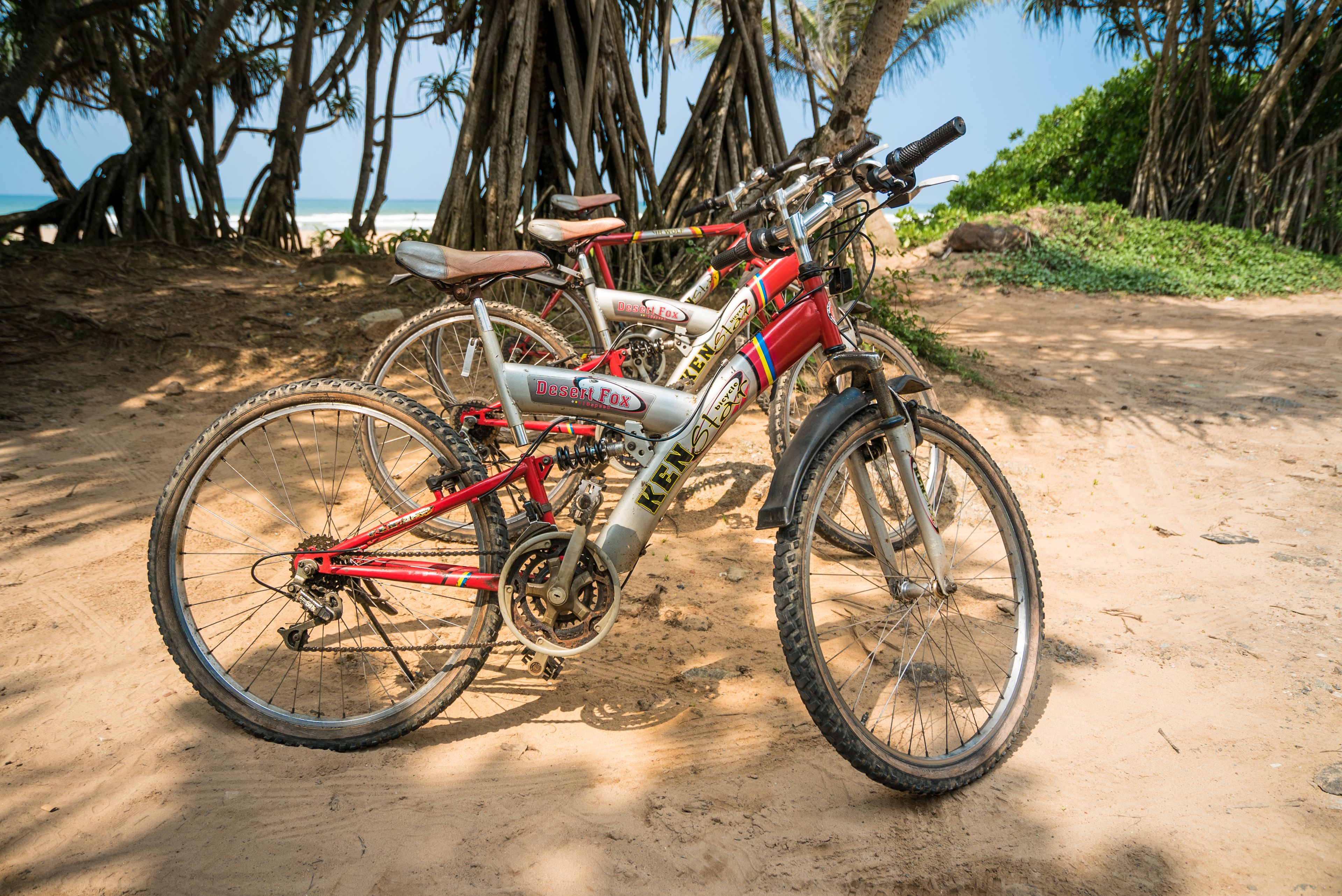 Una bicicleta estacionada en un sendero arenoso, con una playa y palmeras al fondo.