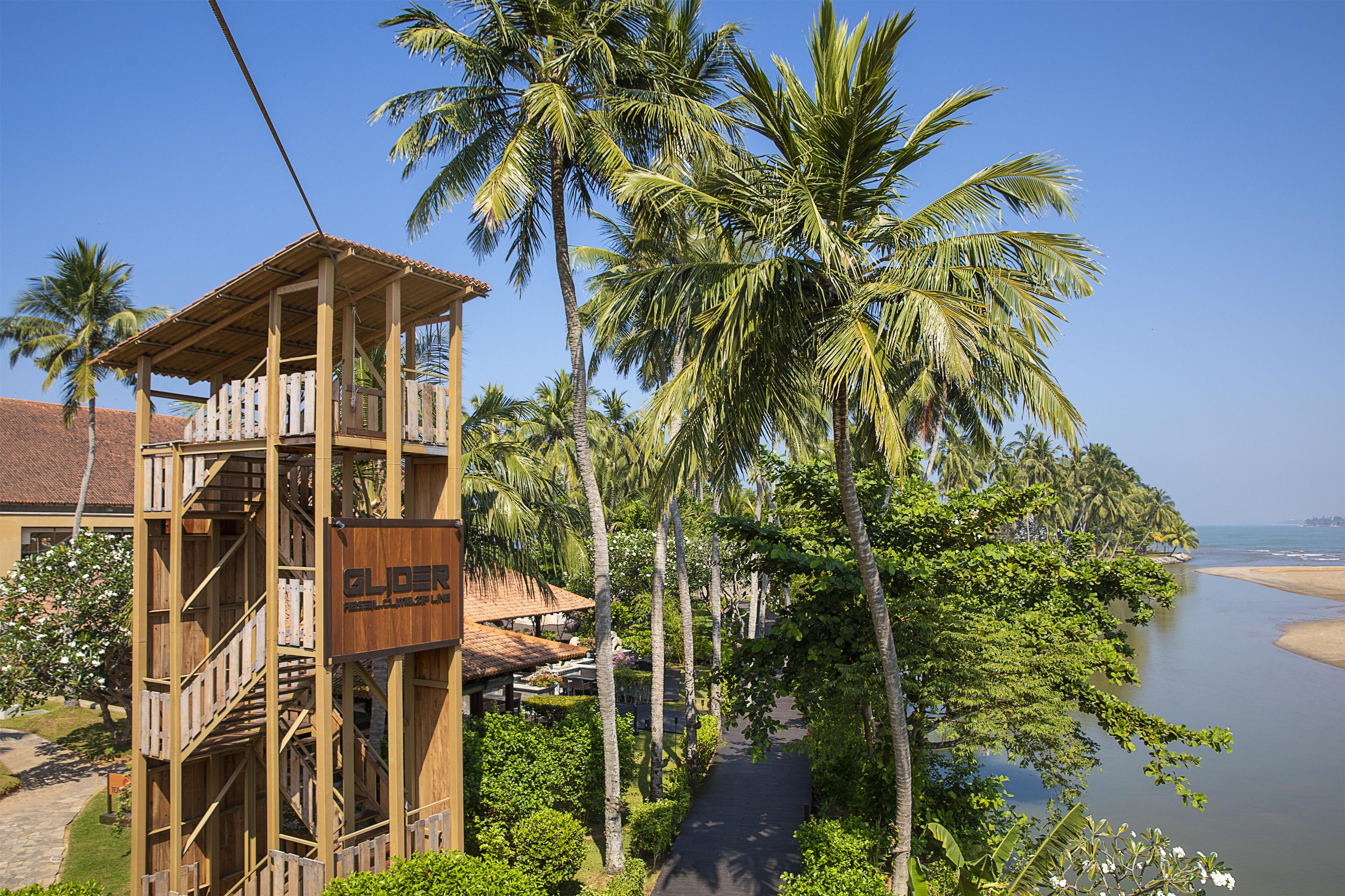 Une structure en bois, agrémentée d’une enseigne, entourée de palmiers et offrant une vue sur la plage.