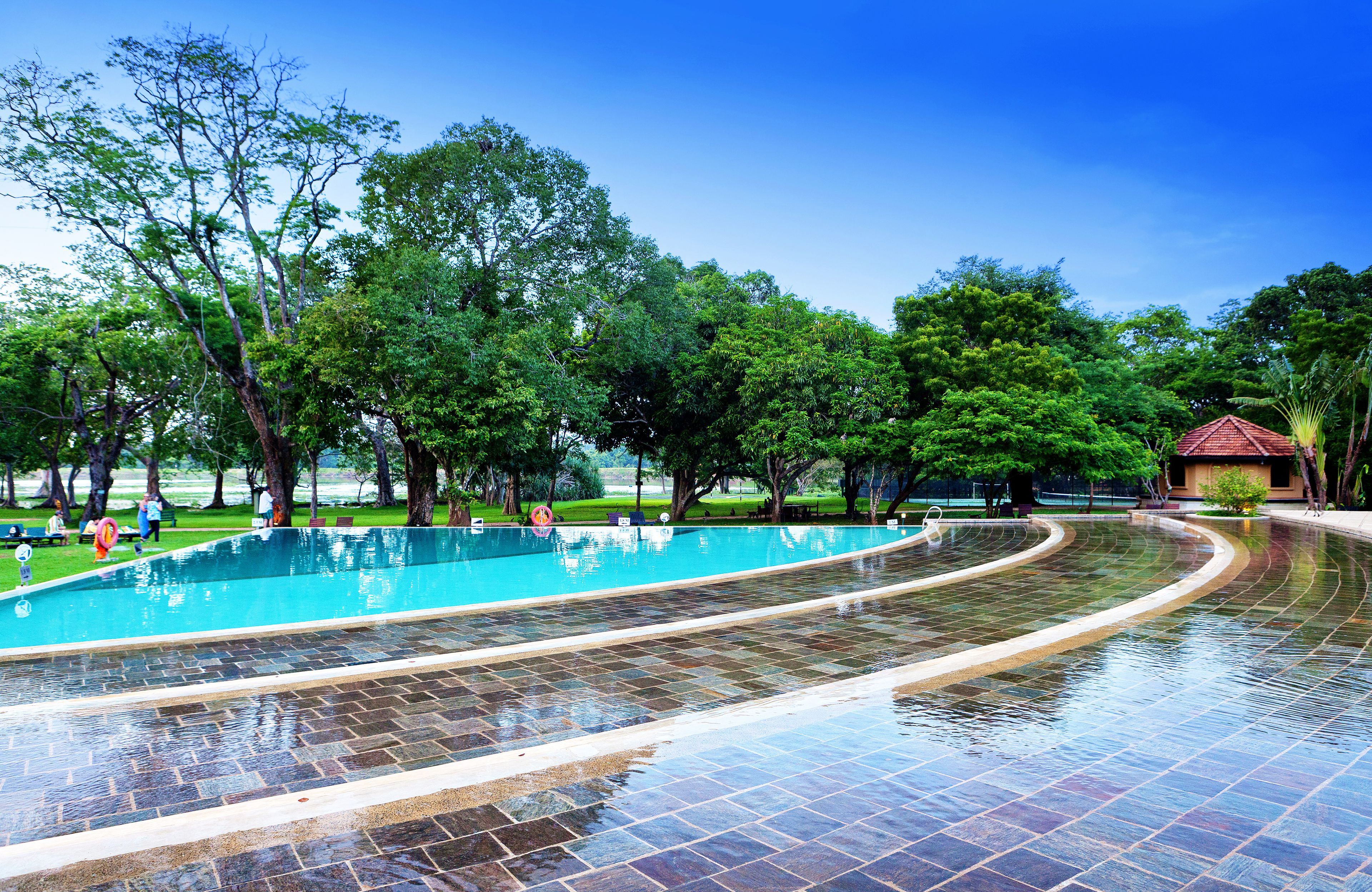 outdoor pool, pool umbrellas, pool loungers