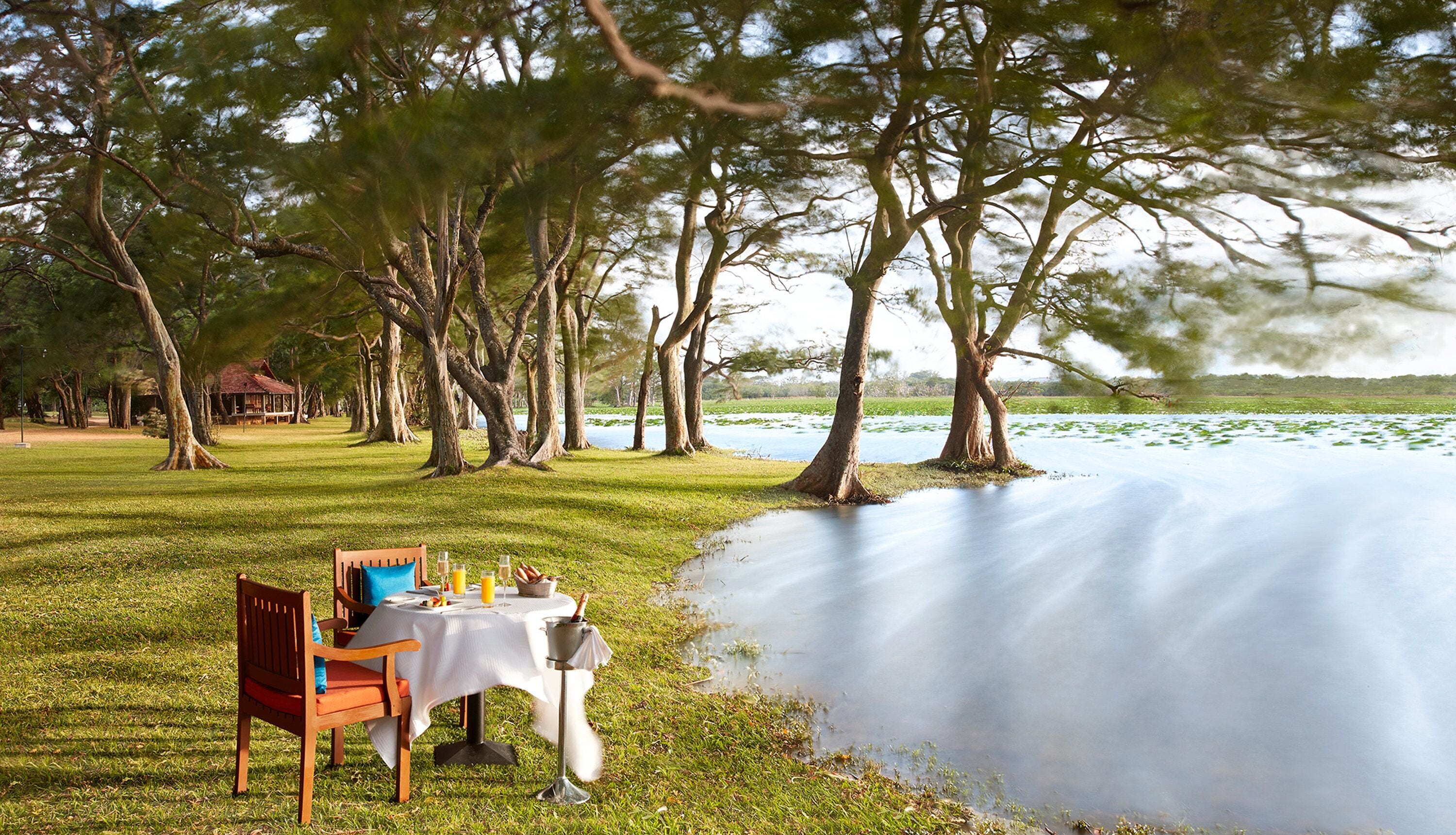 Mesa al aire libre con vista a un lago y árboles.