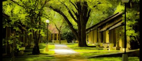 A pathway lined with trees and a building with a traditional architectural style.