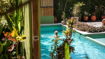 Outdoor pool, open 8:00 AM to 8:00 PM, pool loungers