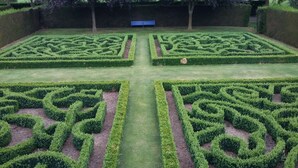 A formal garden with symmetrical hedge mazes and a central pathway.