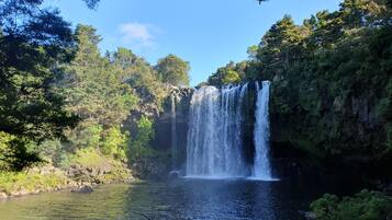 A waterfall cascading into a clear pool surrounded by dense forest.