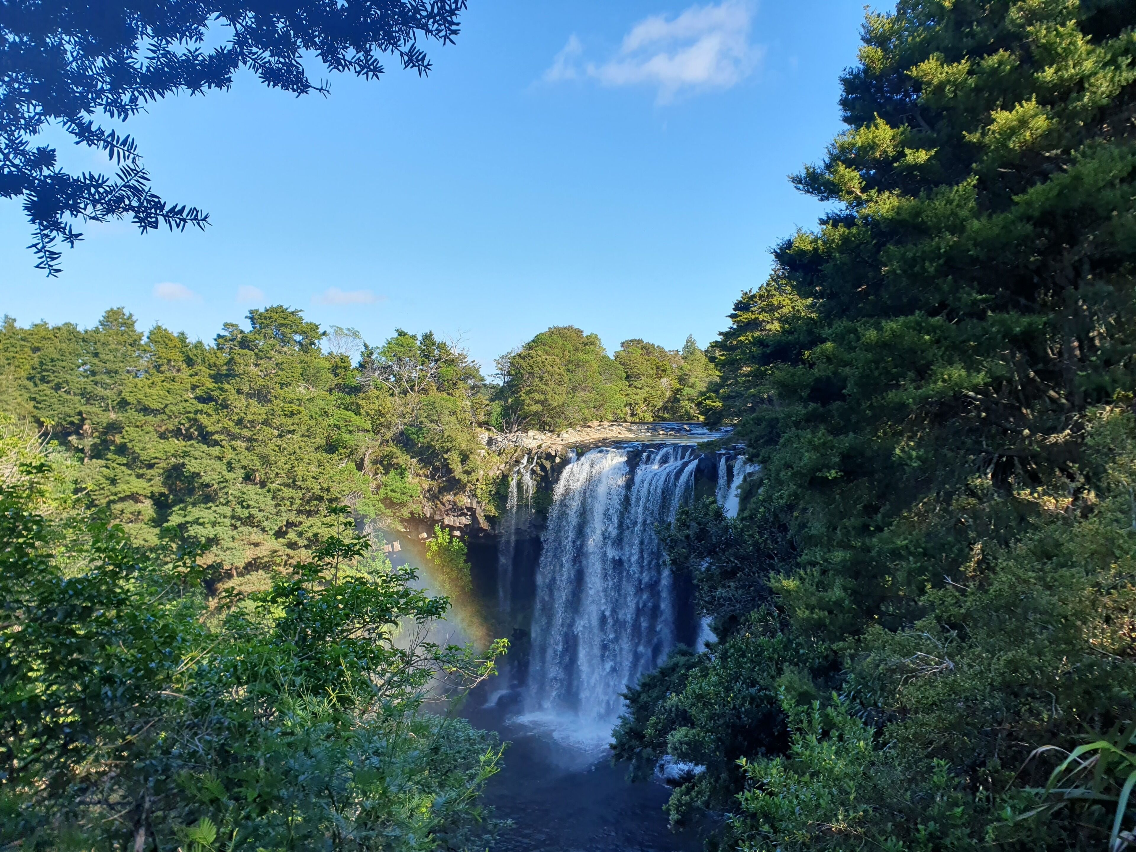 Una cascada rodeada de un bosque frondoso.