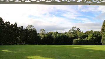 A spacious outdoor area with a white pergola structure, surrounded by lush greenery and trees.