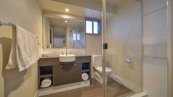 A modern bathroom with a glass shower enclosure, a sink with a mirror above, and a toilet.