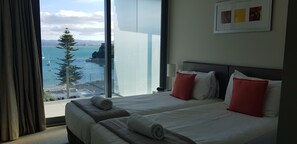 Muebles diferentes, tabla de planchar con plancha y wifi gratis 