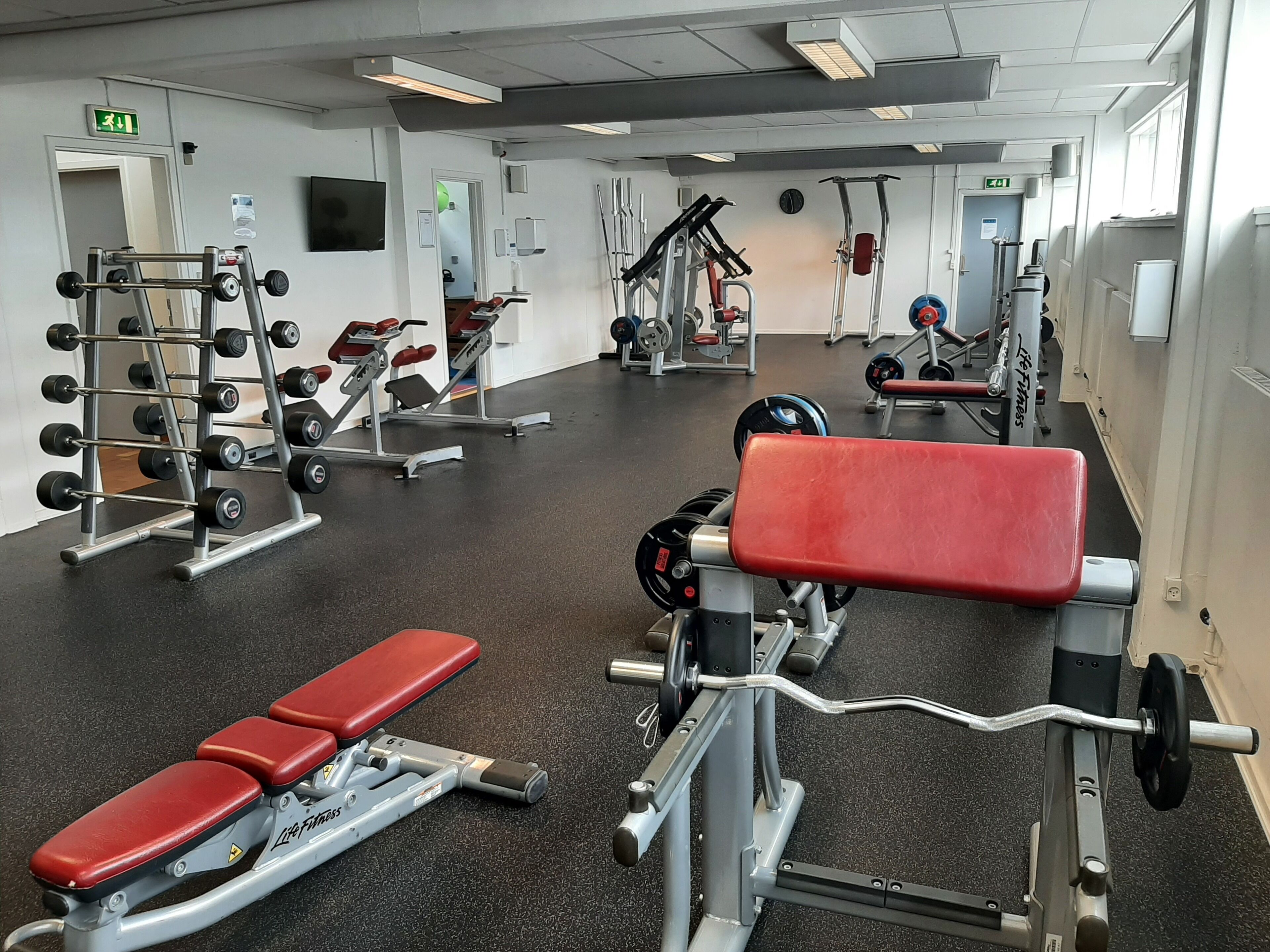 A gym with various exercise equipment, including a bench, weight racks, and cardio machines.