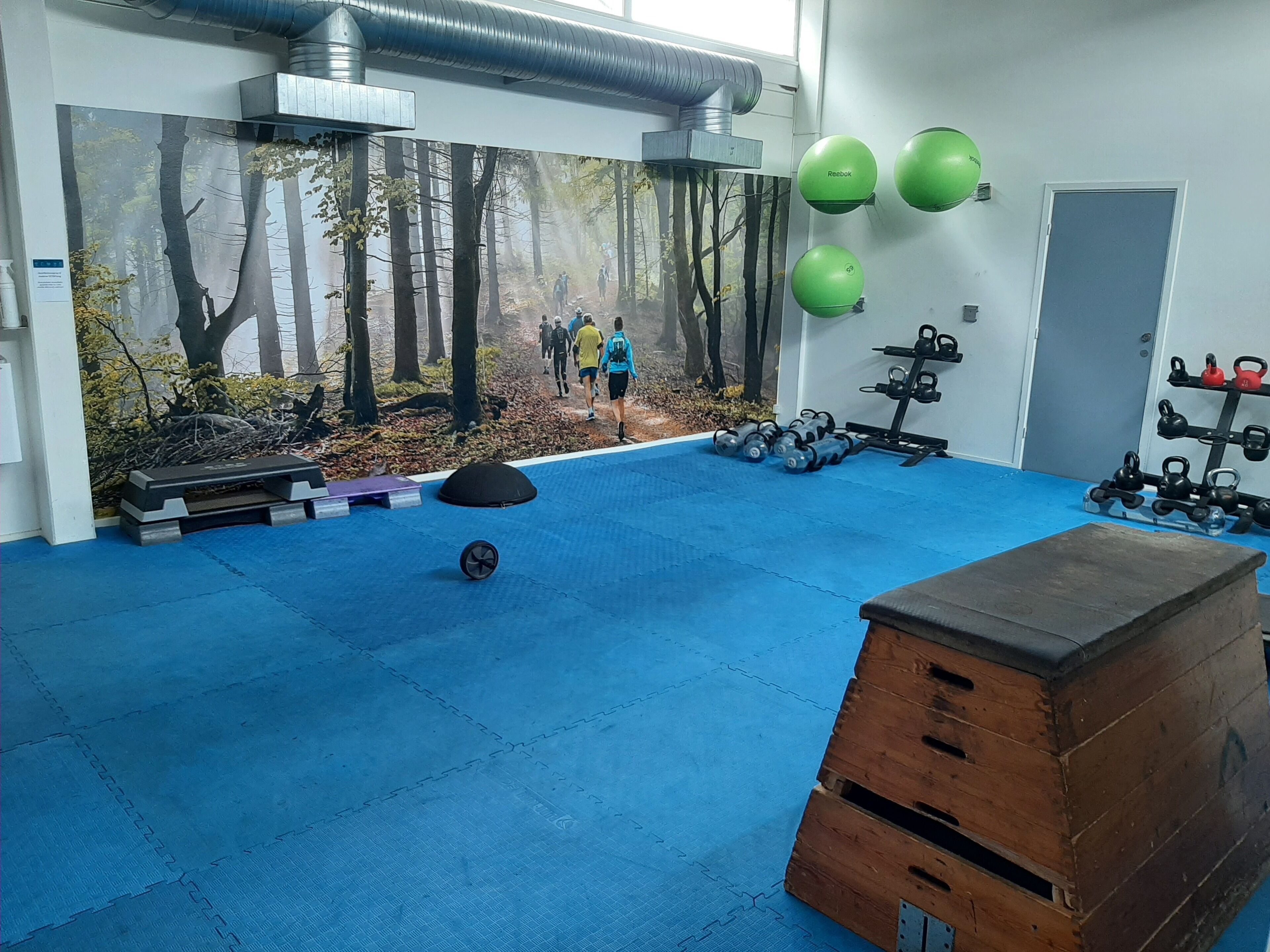 Une salle de sport avec des tapis bleus, du matériel d’exercice et une fresque représentant une forêt.