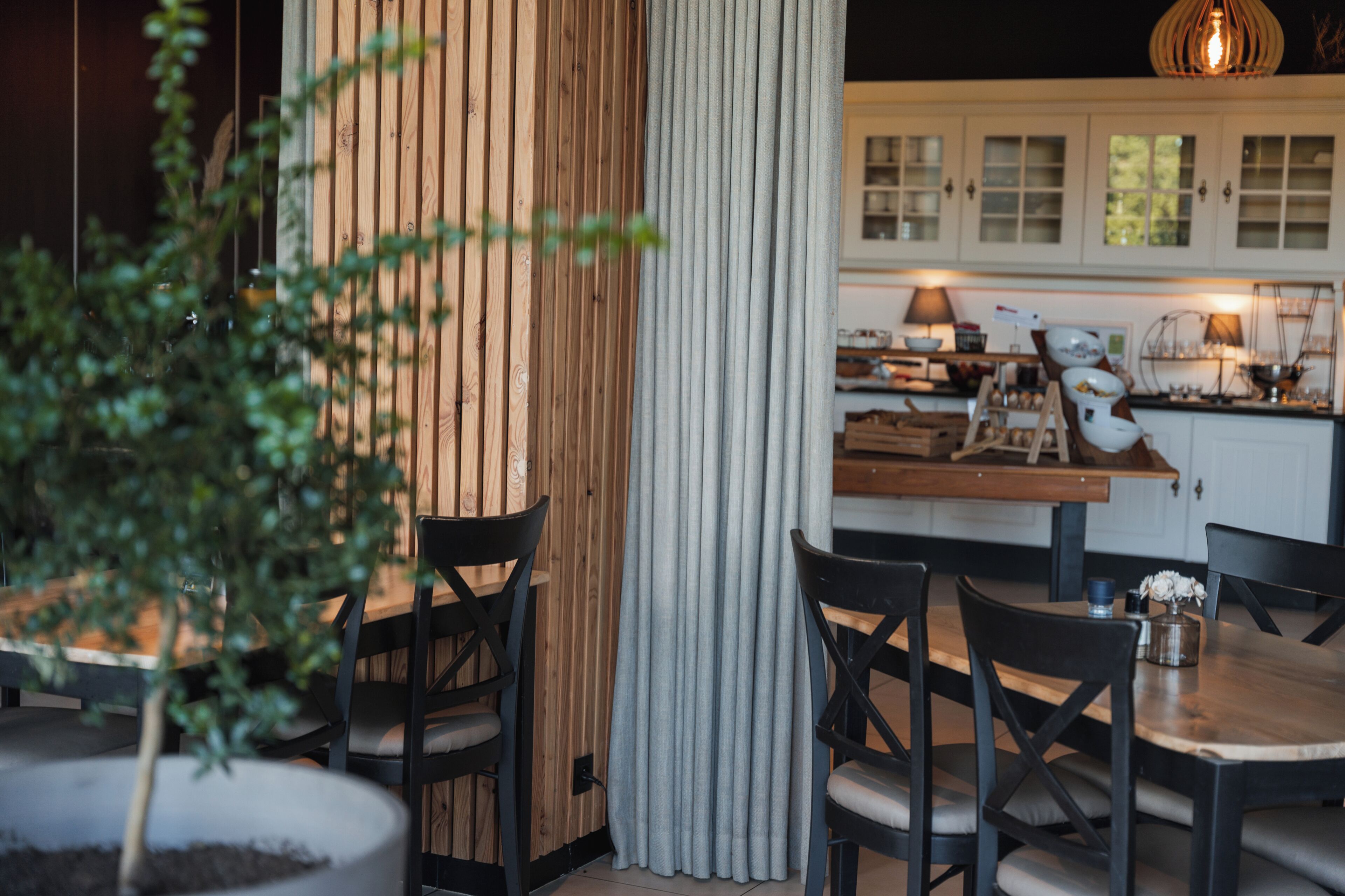 A dining area with a wooden table, black chairs, and a potted plant.