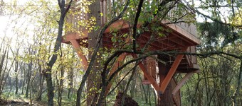 Mont-des-Pins Dennenheuvel