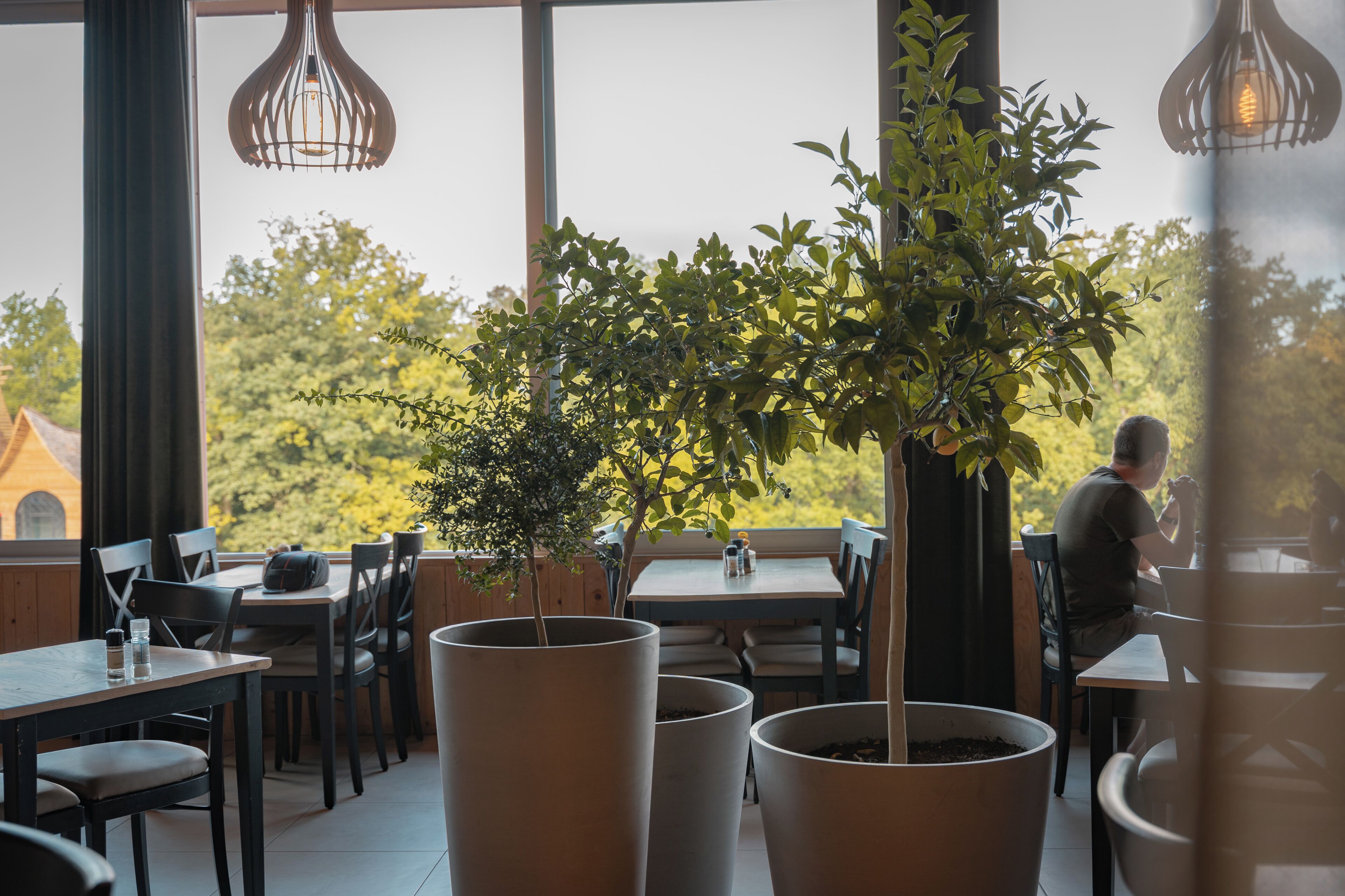 A restaurant with tables and chairs, potted plants, and a view of trees and buildings.