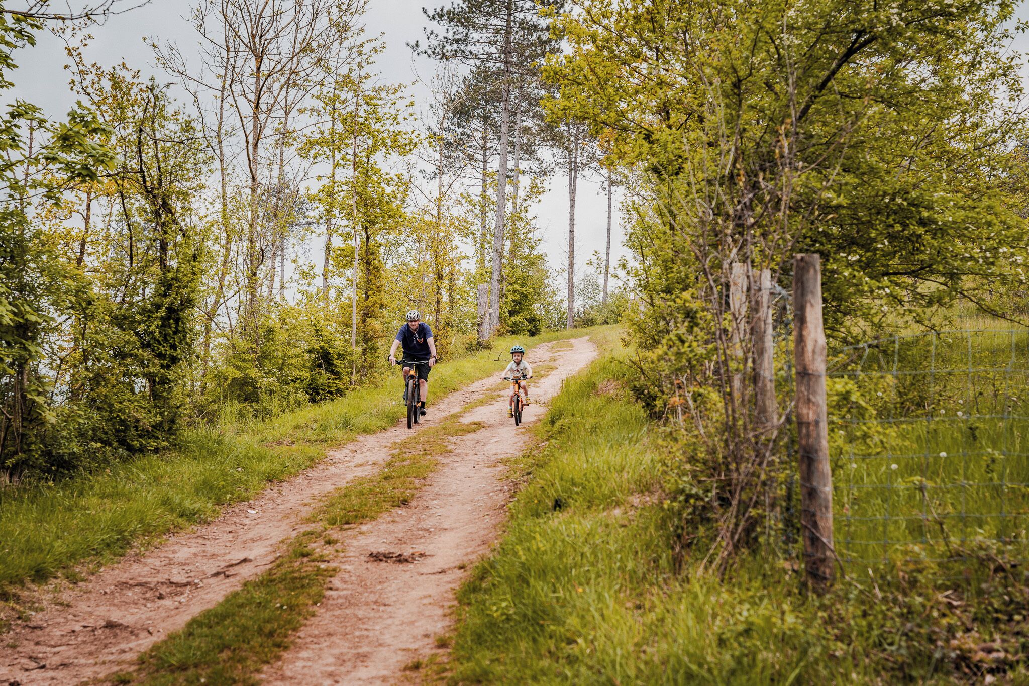 A dirt path flanked by trees and a fence.